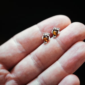 Tiny Owl Amber Stud Earrings, Natural Baltic Amber Jewelry, Sterling silver studs, Romantic Jewellery Gift for Her, Symbol of Wisdom image 4