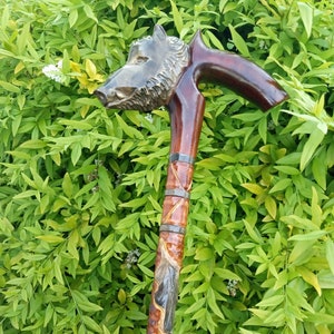 Wooden walking cane boar Carved handle and staff Wood walking stick Hand carved Hiking stick Gift for men. wooden canes
