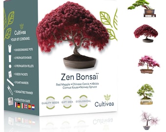 Cultivea Mini - Kit de Bonsái Zen Listo para Cultivar