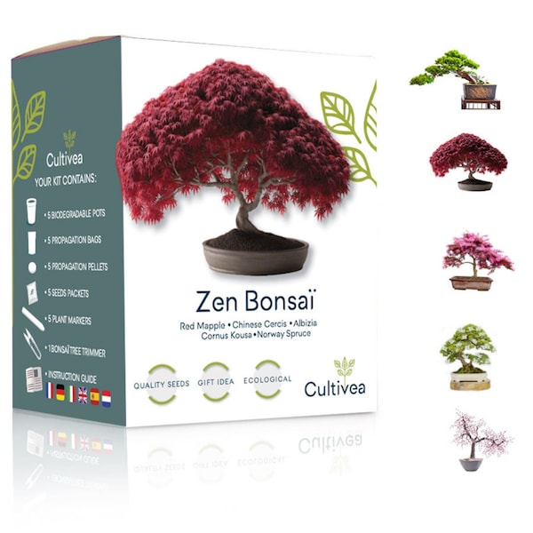 Cultivea Mini - Kit Prêt à Pousser Zen Bonsai
