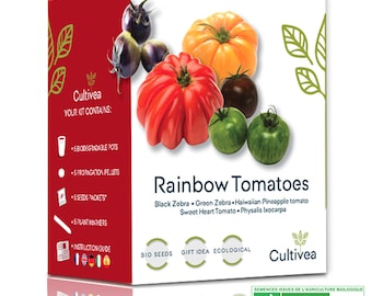 Cultivea Mini  - Kit Prêt à Pousser Tomates colorées