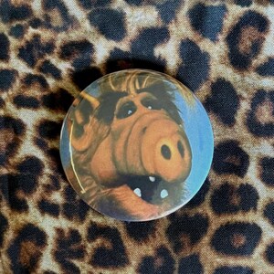 May include: A circular pinback button featuring a close-up portrait of the character Alf, a brown, furry extraterrestrial with a large snout, dark eyes, and a wide, open mouth showing two white teeth against a light blue background.