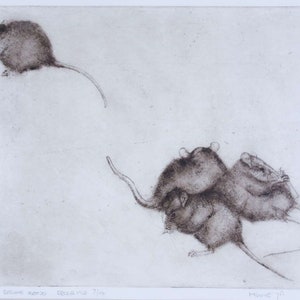 May include: A black and white etching of three mice. One mouse is standing on its hind legs and looking to the left. The other two mice are huddled together, one on top of the other.