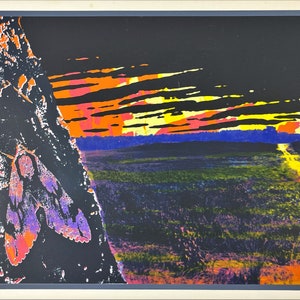 May include: A vivid landscape print depicting a moth on a tree trunk. The artwork features a striking sunset with orange, yellow, and pink tones against a dark sky. The field is a blend of green and purple.