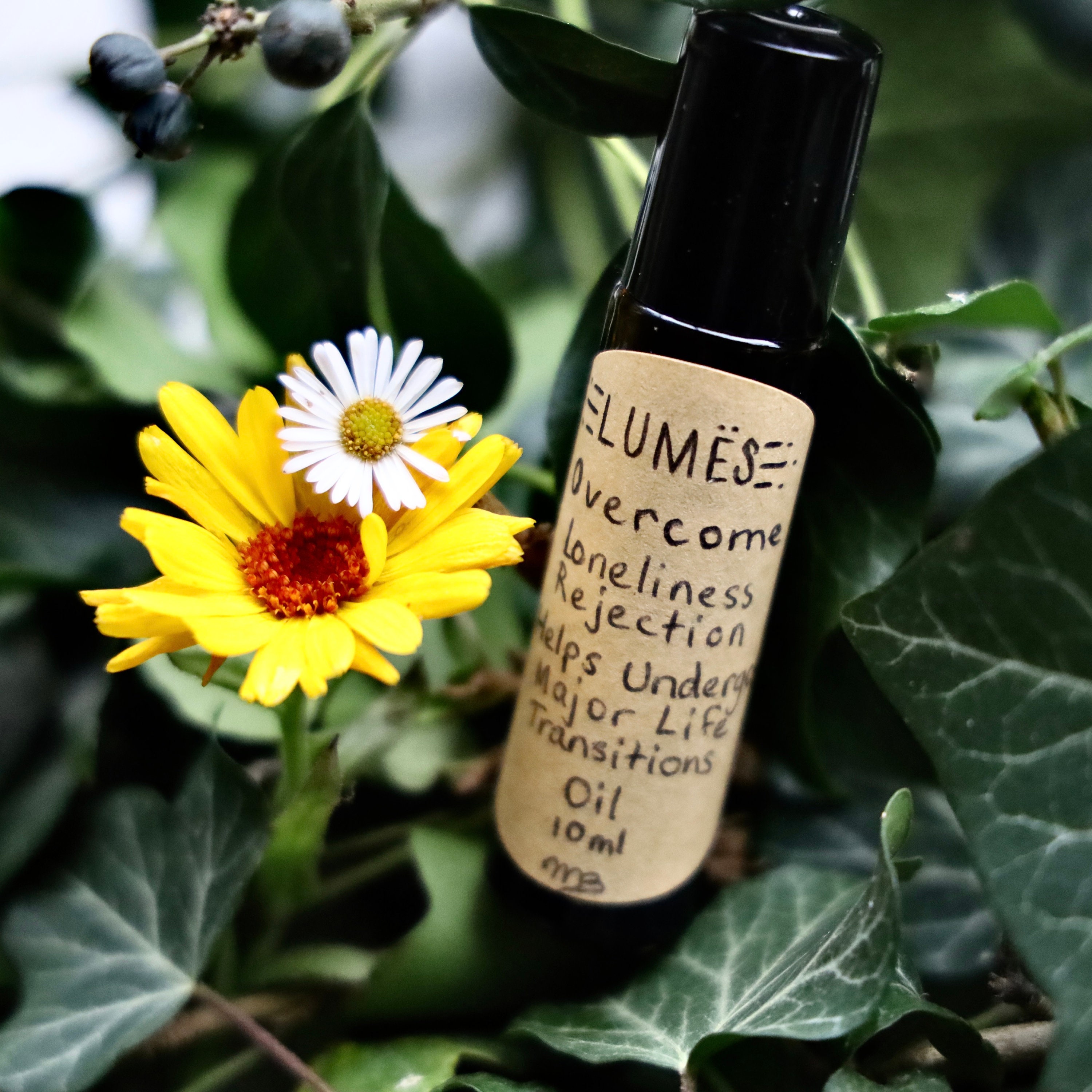 Surmonter La Solitude, Le Rejet - Aide à Subir Des Transitions Majeures de Vie