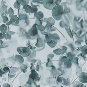 Farmhouse Blooms Cotton Quilting Fabric by Hoffman, Half Metre Mist