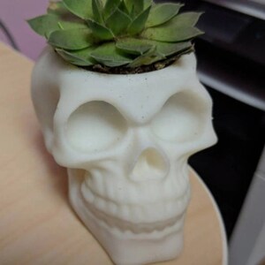 Skull Planter STL File PACK and Pencil Pot 3D Print Models | for 3D printing | Digital file | 18 Total Files image 2
