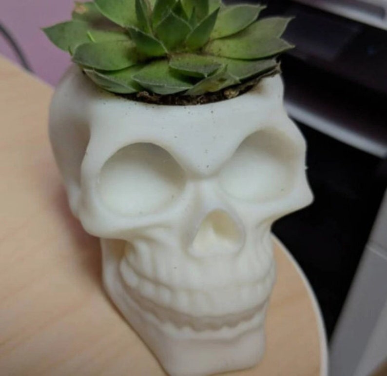 Skull Planter STL File PACK and Pencil Pot 3D Print Models | for 3D printing | Digital file | 18 Total Files image 2