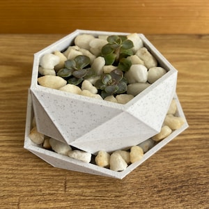 May include: A white geometric planter with a speckled finish, filled with small white stones and a succulent plant.