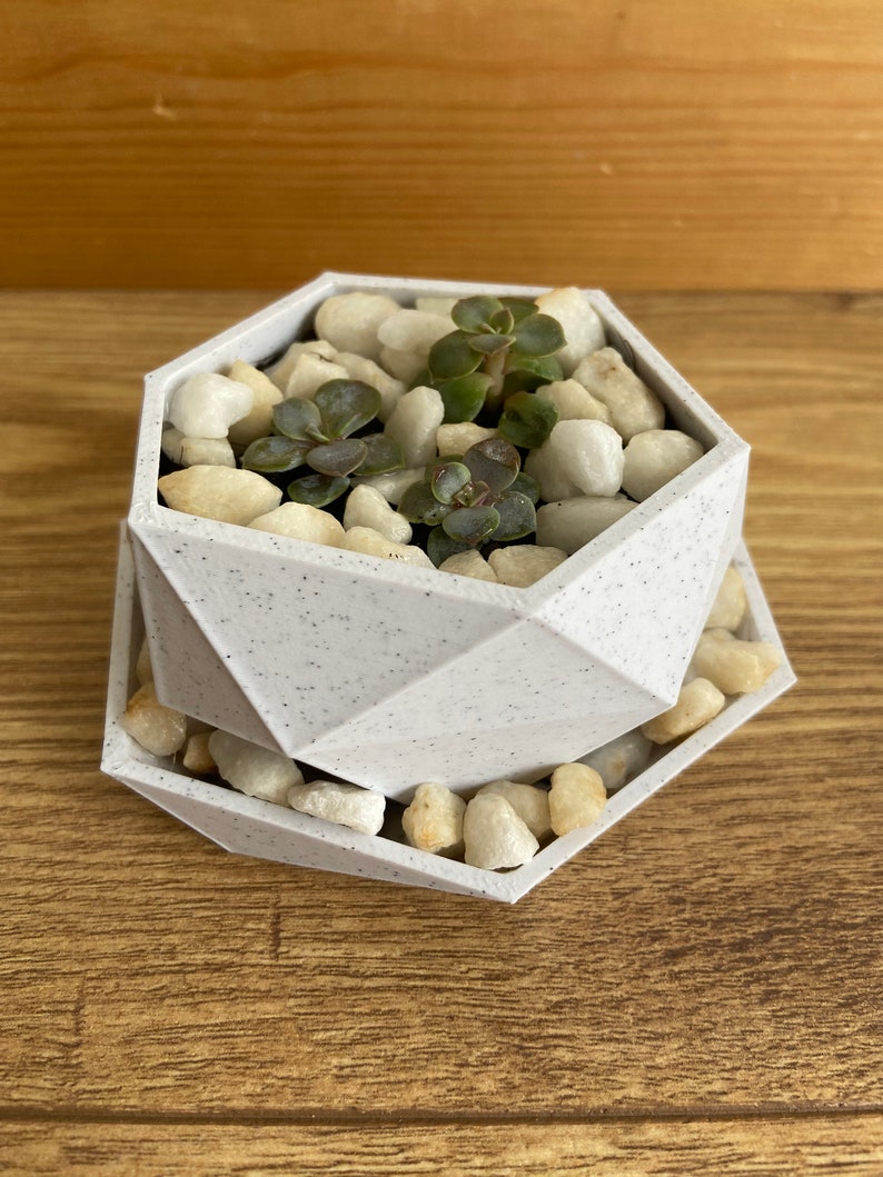 Low Poly Mini Plant Pot With Built In Drainage Tray 3D Printed Planter Succulent Plant Pot Indoor Plant Pot Home Decor image 1