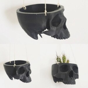 May include: Black skull-shaped hanging planter with a small cactus plant inside. The planter is made of plastic and has a rope hanging system.