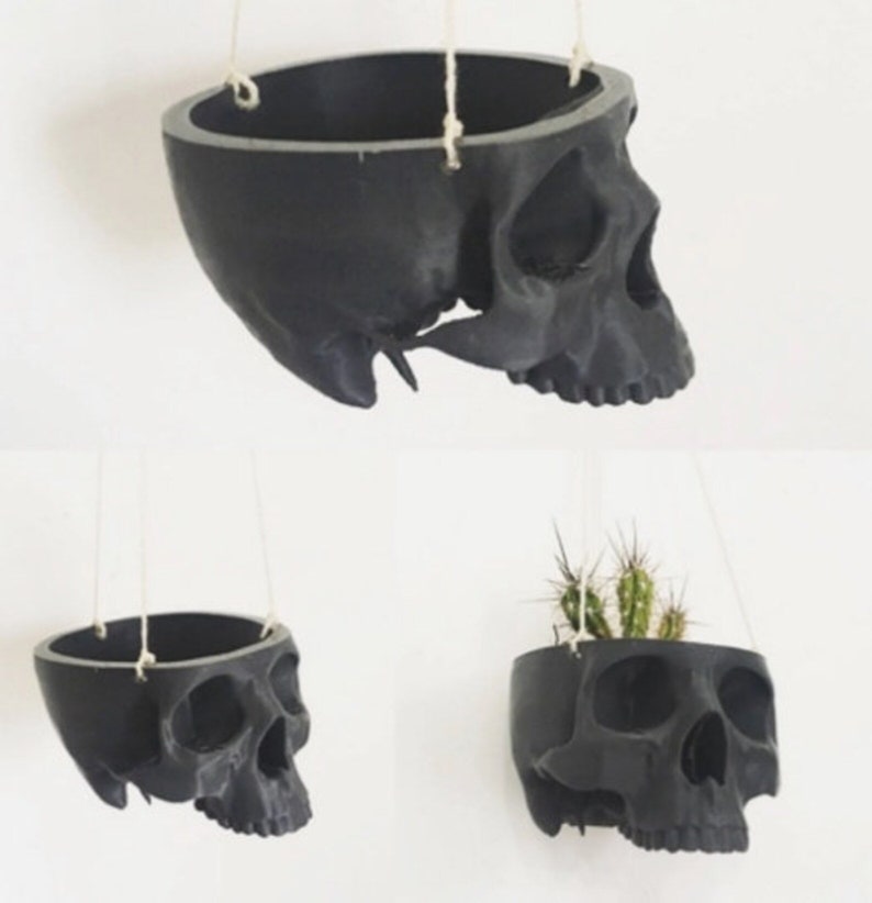 May include: Black skull-shaped hanging planter with a small cactus plant inside. The planter is made of plastic and has a rope hanging system.