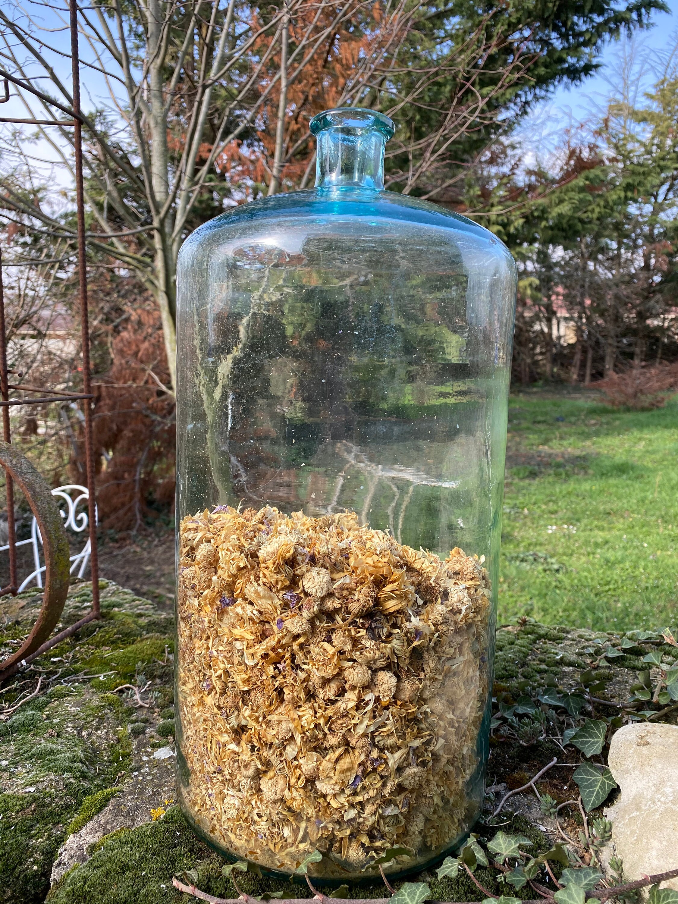 Ancien Flacon Apothicaire - Xx Antique Apothicary Bottle