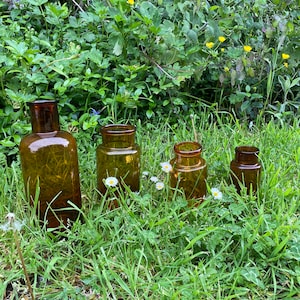 Peut inclure: Quatre bouteilles en verre ambré de tailles différentes, disposées en rangée sur un lit d'herbe verte. Les bouteilles sont toutes en verre ambré foncé et ont une forme légèrement arrondie. Les bouteilles sont posées sur un lit d'herbe verte avec quelques fleurs blanches éparpillées autour d'elles.