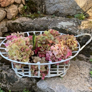 Twisted Iron Bin - Metal basket