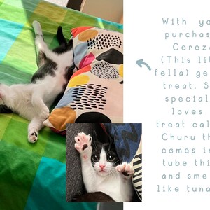 May include: A black and white cat lying on a green and white checked bedspread with a colourful pillow. The cat is looking up with its mouth slightly open. The text "With your purchase, Cereza (This little fella) gets a treat. She specially loves a treat called Churu that comes in a tube thing and smells like tuna. :)" is written on the right side of the image.