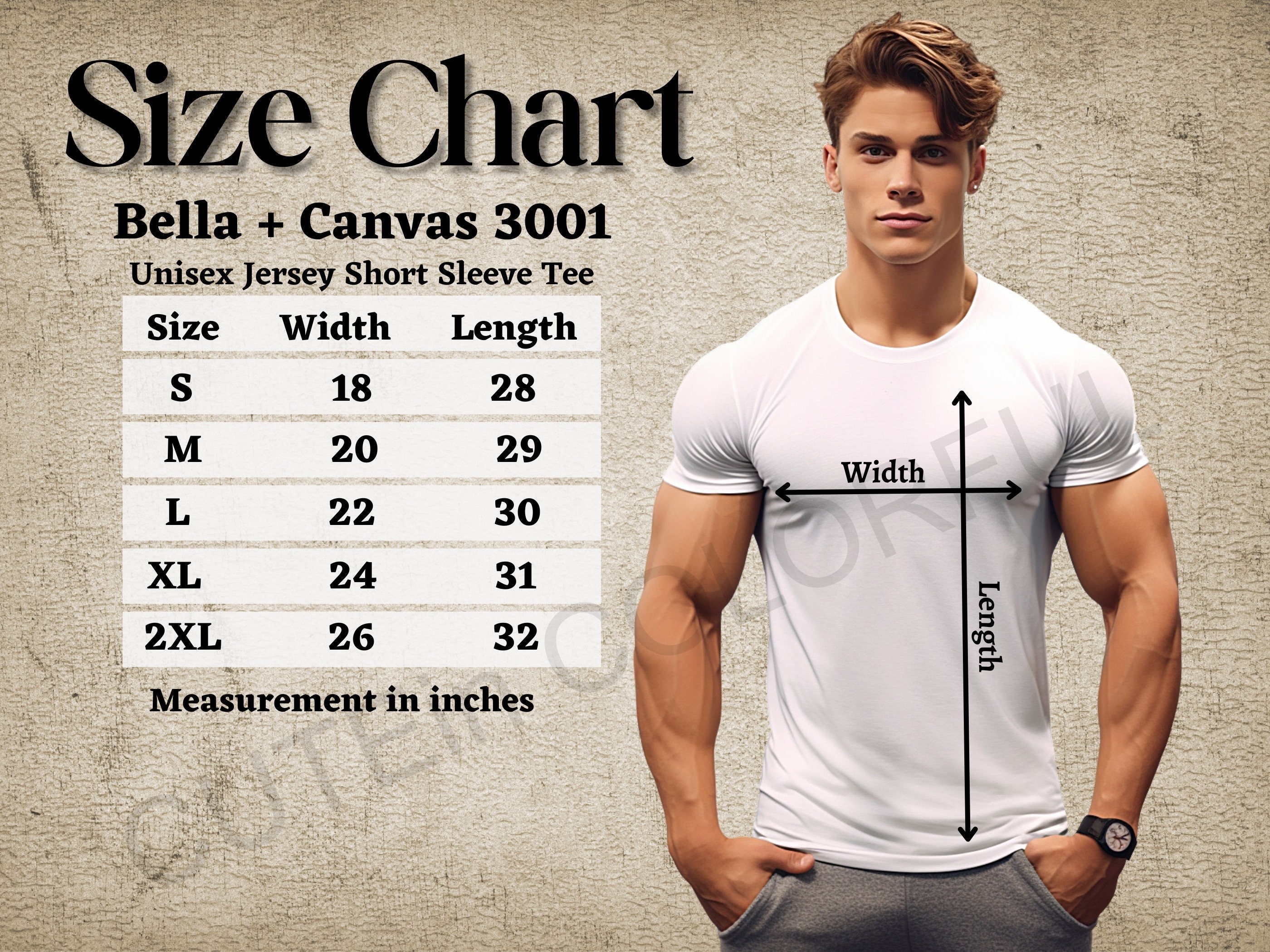 Digital Download Size Chart, Bella Canvas 3001, Male Model Sizing Chart ...