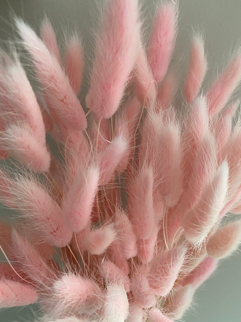 Pink Bunny Tails Etsy UK