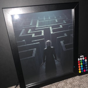 May include: A framed black and white print of a figure in a maze. The figure is wearing a helmet and holding two swords. The print is illuminated with a multi-colored light.