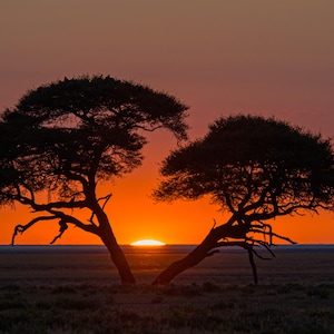 African Sunrise Sunset Print, African Wall Art, Safari Wall Decor