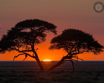 Namibia Sunset Photo Print, African Safari Wall Art