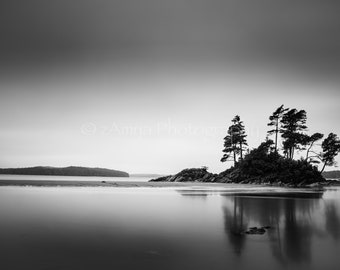 Tofino Wall Art, Vancouver Island Print, Tofino Black and White