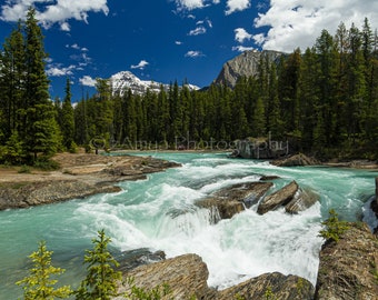 Emerald River, Yoho National Park, Emerald Lake, Rocky Mountain Photography, Gallery Wrap Canvas, Metal Print, Wall Decor