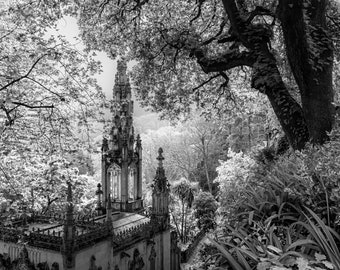 Sintra Mountain, Regaleira Palace, Black And White, Fine Art Print