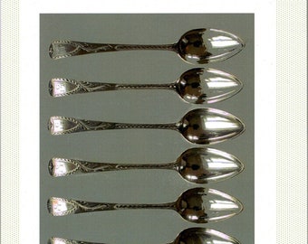 La guía esencial de cucharas de metal antiguas, antiguas y antiguas Libro electrónico de David Villanueva