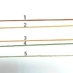 Pode incluir: Close-up de cinco fios de linha de bordar em v&aacute;rias cores. As cores incluem castanho, amarelo, laranja, verde e verde claro. Cada fio &eacute; numerado de 1 a 5.