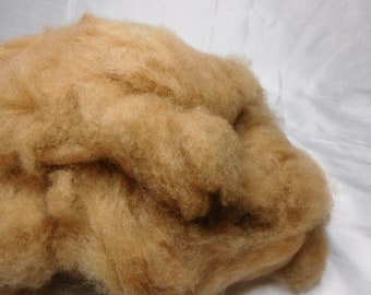 Baby Camel Down, Undyed, Bare, Fiber Cloud, for Spinning, Felting, Crafting, 2 ounces