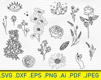 Free Free 176 Jasmine Flower Svg Free SVG PNG EPS DXF File
