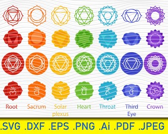 Download Free D6deqfhxxtqk5m PSD Mockup Template