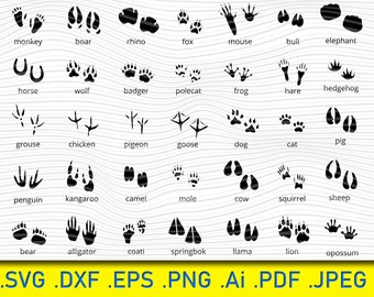 Download Animal Tracks Svg Etsy