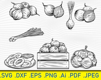 Download Onion Clipart Etsy