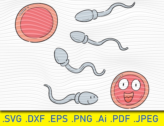 Sperma SVG Sperma Clipart Baby Shower Reproductive Cell | Etsy België