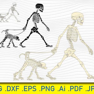3 Variations of Skeleton with a dog skeleton, skeleton svg,dog svg,skull svg,human skeleton,vector,dog skeleton,silhouette,bones svg,walking