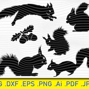 Squirrel SVG Bundle, Squirrel SVG, Squirrel Clipart, Cut Files For Silhouette, Files for Cricut, Squirrel Vector, Svg, Dxf, Png, Eps, Design