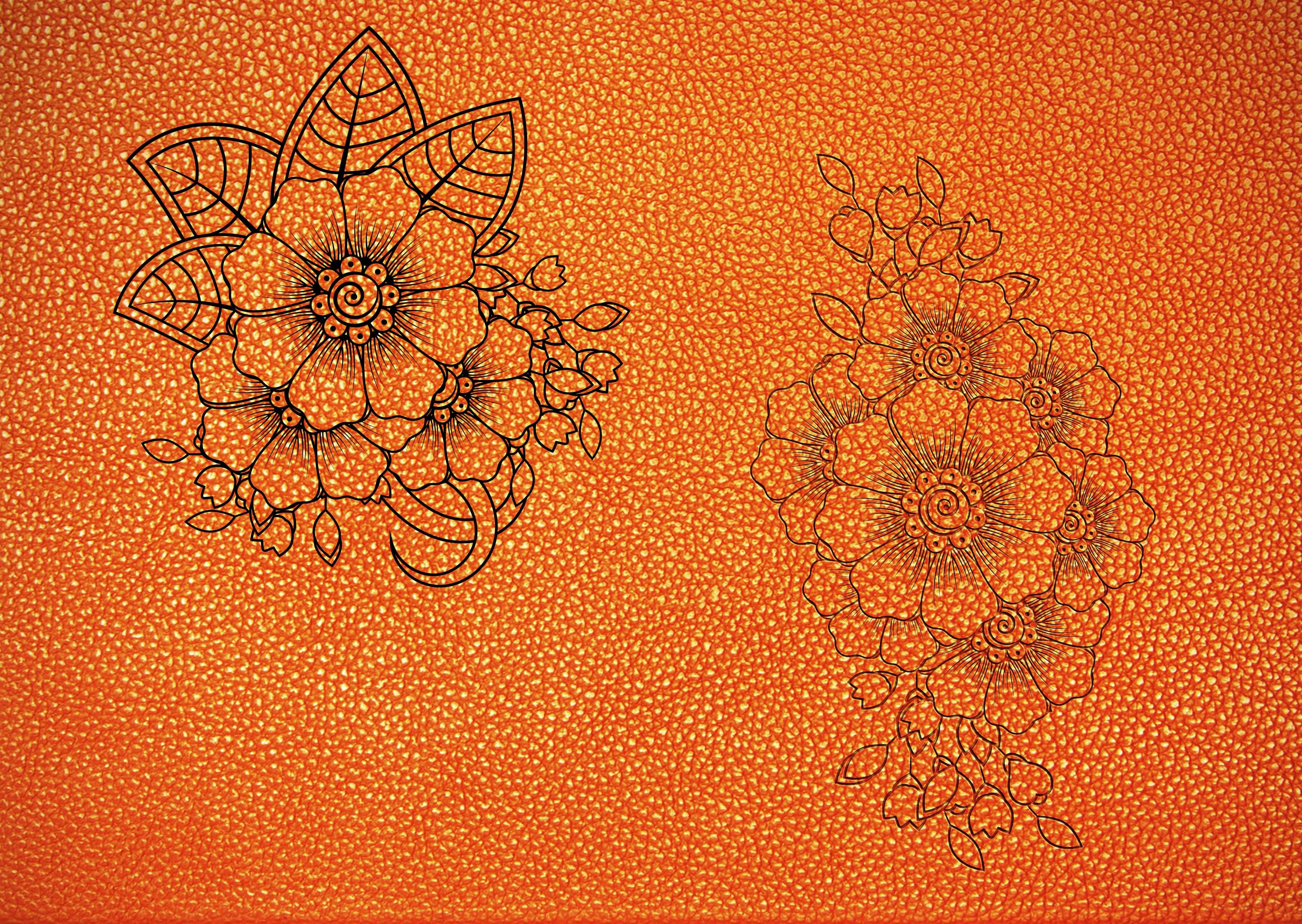 Gratis Afbeeldingen : vrouw, bloem, patroon, de lente, rood, henna-, kleur,  herfst, mode, huwelijk, bruid, seizoen, kunst, jurk, tekening, ontwerp,  cultuur, traditioneel, ritueel, mehendi, formele kleding, mehandi 2392x3437  - - 804207 - Mooie ..., image size:3000x2130