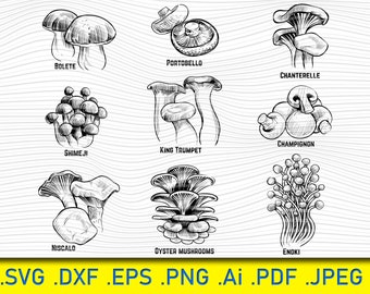 Mushrooms autumn, edible mushroom, healthy food, Mushroom SVG Files, Vegetable Drawings, Vegetable SVG files, Mushroom Cut file, Mushrooms