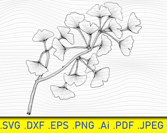 Ginkgo Branch SVG: Hand-Drawn Leaf Design (Digital Files)