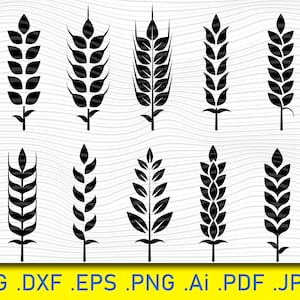 Svg de trigo, paquete de Svg de trigo, Svg de grano, clipart de trigo, clip art de trigo, silueta de trigo, trigo para Cricut, archivos de corte de trigo, Svg de cosecha, imagen de trigo