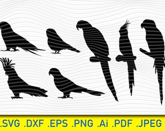 Parrot Bird SVG Files Bundle, Silhouette Vector Design (Digital Download)