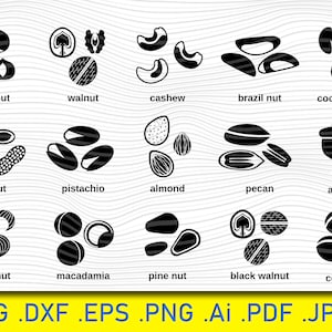 Semente, pacote svg de nozes, svg de quebra-nozes, vetor de nozes, silhueta de nozes, arquivo de vinil de nozes, arquivos svg de nozes, clipart de nozes, termocolante, arquivo de corte, dxf