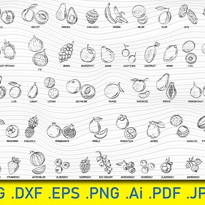 Fruit en bessen svg, fruit clipart svg, banaan svg, watermeloen, druif svg, aardbei svg, fruit clipart, fruitbestanden, afdrukbestand, afdrukbaar