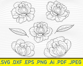 Peonies Clipart: Floral Bouquet SVG, PNG, EPS (Digital Download)