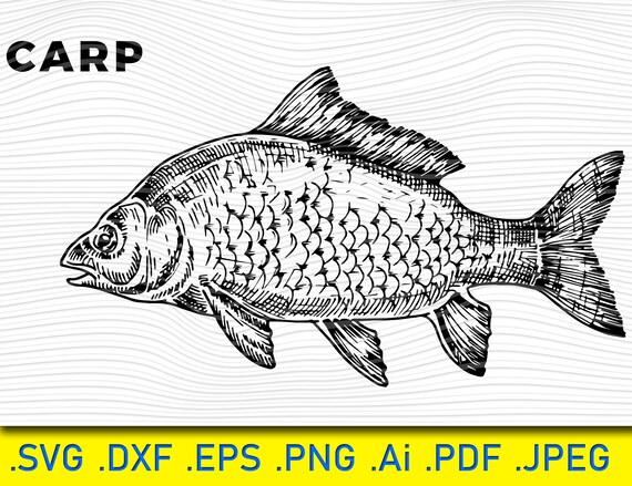 Free Free 114 Carp Fish Svg SVG PNG EPS DXF File