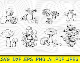 Clipart SVG de hongos: Champiñones, archivos de corte de Cricut (descarga digital)