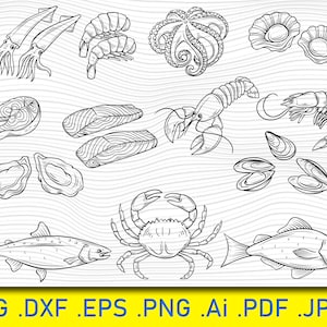 13 Frutos do mar SvG Bundle, Frutos do mar SVG, Frutos do mar desenhados à mão, Mar, Clipart de pesca, Clipart de peixe, Marinho, Oceano, Clip art náutico Vetor EPS, SVG