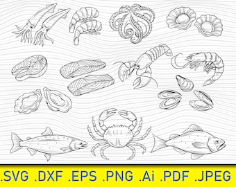 Paquete de 13 SvG de mariscos, SVG de mariscos, mariscos dibujados a mano, mar, imágenes prediseñadas de pesca, imágenes prediseñadas de peces, marinos, océanos, imágenes prediseñadas náuticas, vectores EPS, SVG